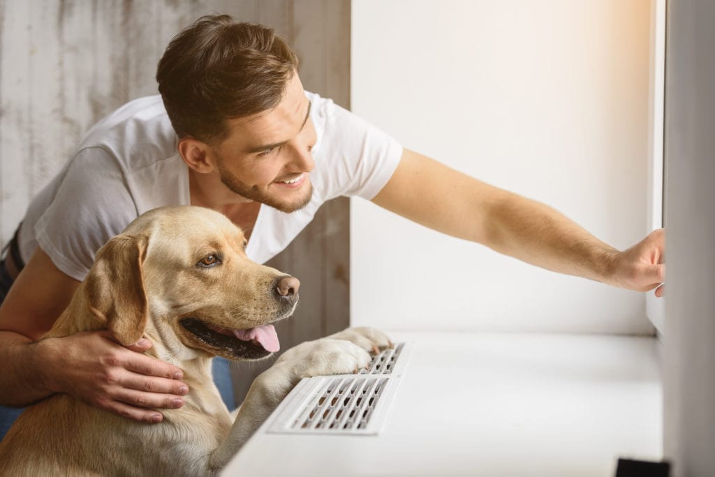 Mensch und Hund – eine besondere Verbindung